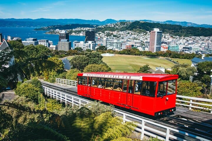 Half-Day Wellington Guided Tour — Mount Victoria, Lyall Bay & Cable Car Experience photo 4