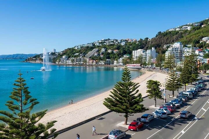 Half-Day Wellington Guided Tour — Mount Victoria, Lyall Bay & Cable Car Experience photo 6