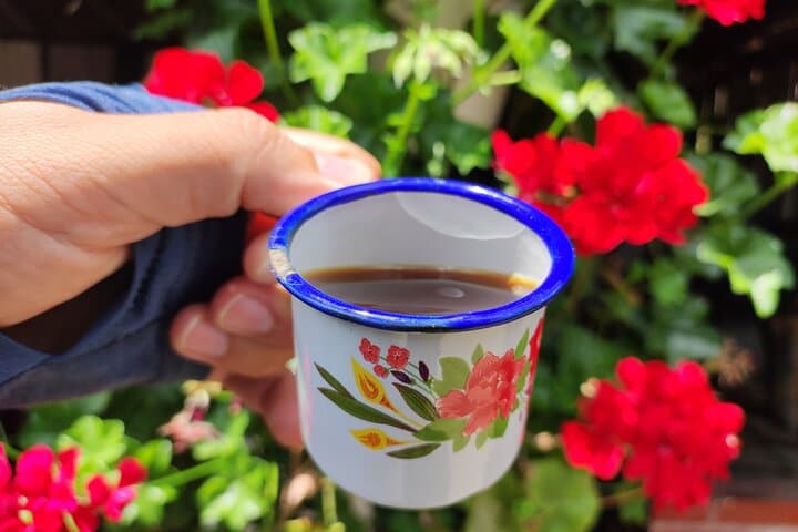 Full-Day Coffee Tour & Rural Walk in Salento — Coffee Farm Experiences photo 2