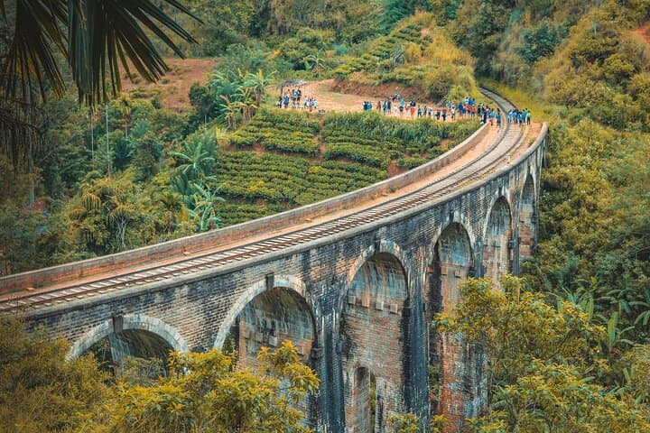 Sri Lanka 8-Day Private Guided Tour: Safari, Cultural Triangle & Coastal Whales photo 5