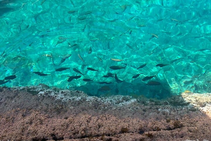 Sunset Paddle Surf to Cala Salada, Punta Galera & Cala Saladeta — Ibiza SUP Snorkel Excursion photo 4