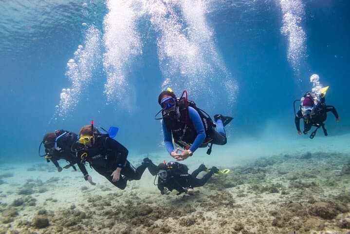 Brindisi Bay Guided Scuba Dives for Certified Divers