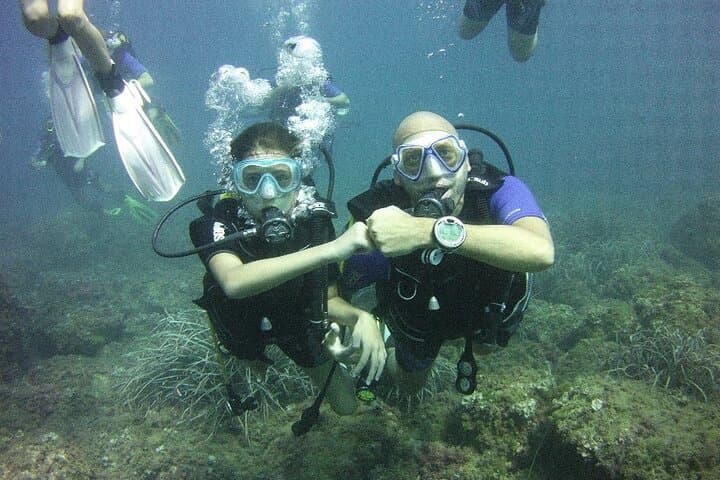 Brindisi Bay Guided Scuba Dives for Certified Divers photo 2