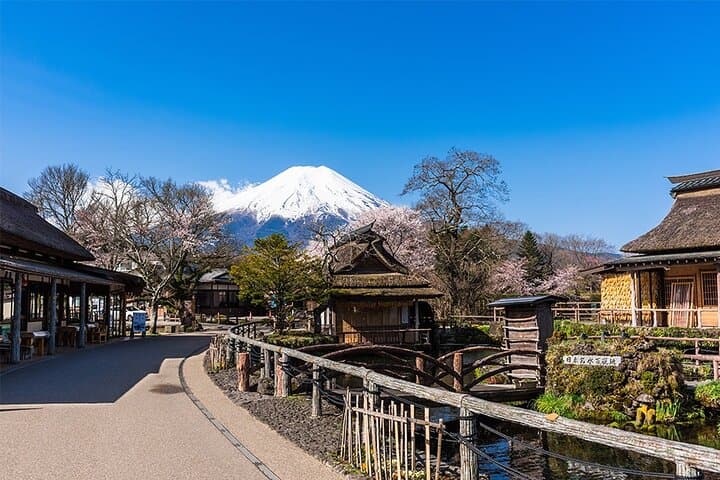Mt. Fuji Views and Kawaguchiko Scenic Day Tour from Tokyo photo 4