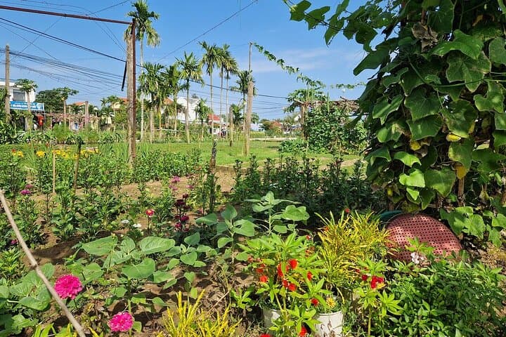 Tra Que Village Farming, Cooking & Herbal Massage Experience in Hoi An photo 4