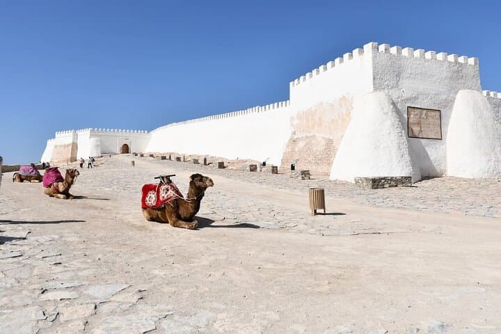 Marrakech to Agadir Day Trip: Kasbah, Crocoparc & Corniche Coastal Lunch photo 6