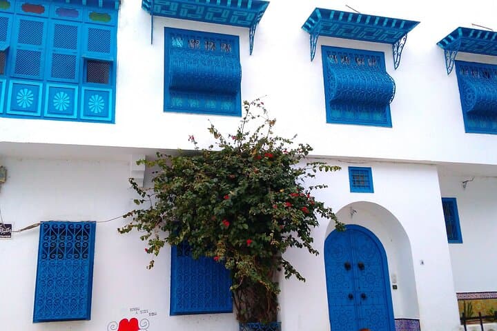 Medina of Tunis, Carthage & Sidi Bou Said: One-Day Cultural Tour with Lunch photo 5