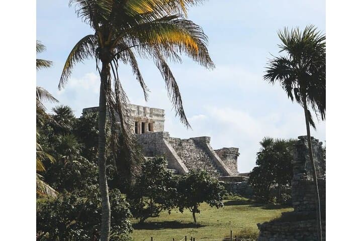 Half-Day Private Tour: Tulum Ruins, Cenote & Swim with Turtles