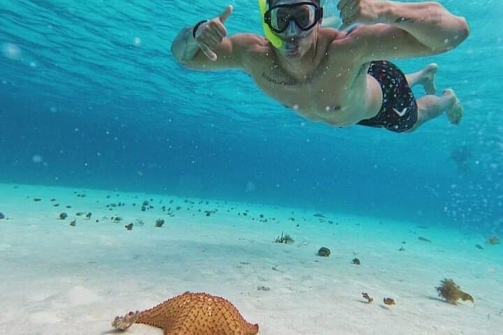 Cozumel Snorkeling: El Cielo, Palancar & Columbia Guided Guided Tour photo 5