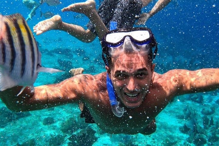 Cozumel Snorkeling: El Cielo, Palancar & Columbia Guided Guided Tour photo 4