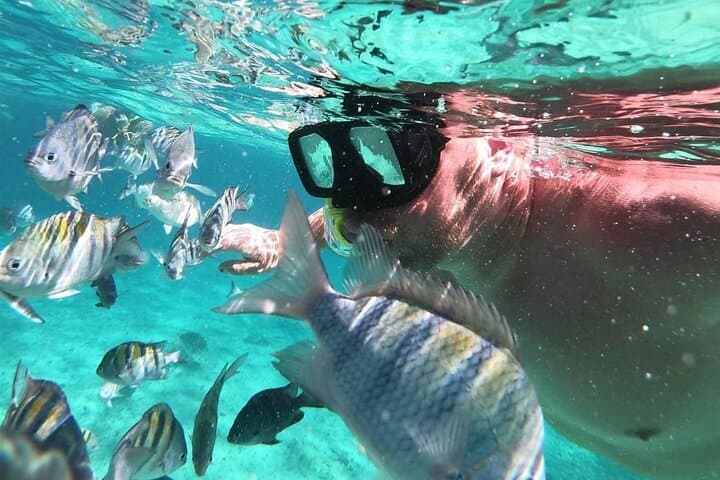 Cozumel Snorkeling: El Cielo, Palancar & Columbia Guided Guided Tour photo 2