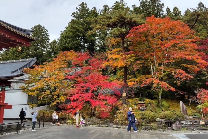 Full-Day Nikko Toshogu & Kegon Falls Guided Tour from Tokyo