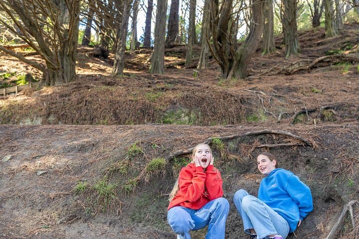 Half-Day Lord of the Rings Tour & Weta Workshop Experience in Wellington