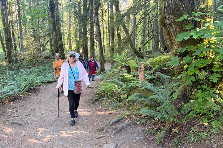 Snoqualmie Falls and Twin Falls: Guided Waterfall Hike from North Bend photo 2