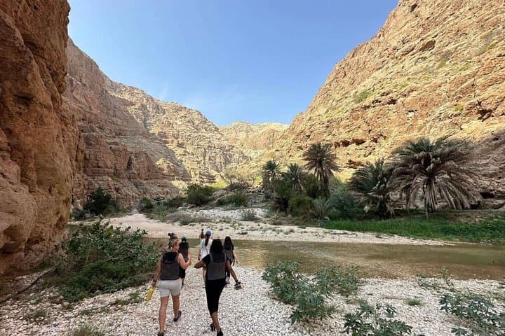 Five Days Across Northern Oman: Wadis, Deserts, Forts, and Turtles photo 3