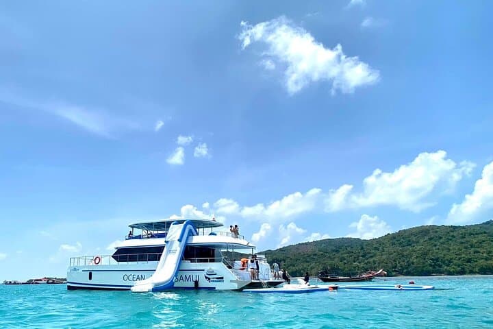 Koh Tan & Pig Island Speed Catamaran: Half-Day Snorkel, Kayak & Beach Pigs photo 3