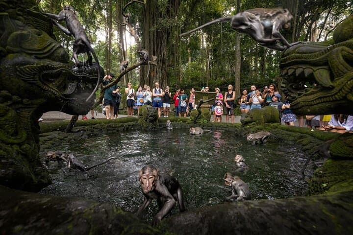 Ubud Day Tour: Monkey Forest, Tegalalang Rice Terraces & Tirta Empul photo 3