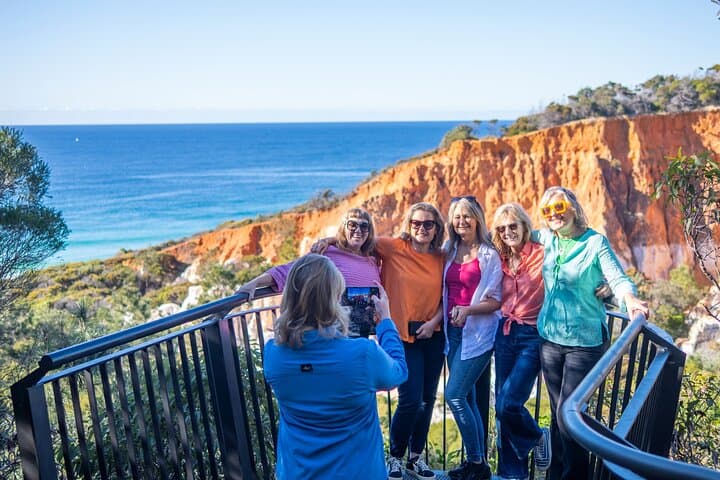 Highlights of Eden: 2-Hour Coastal Tour from Port of Eden