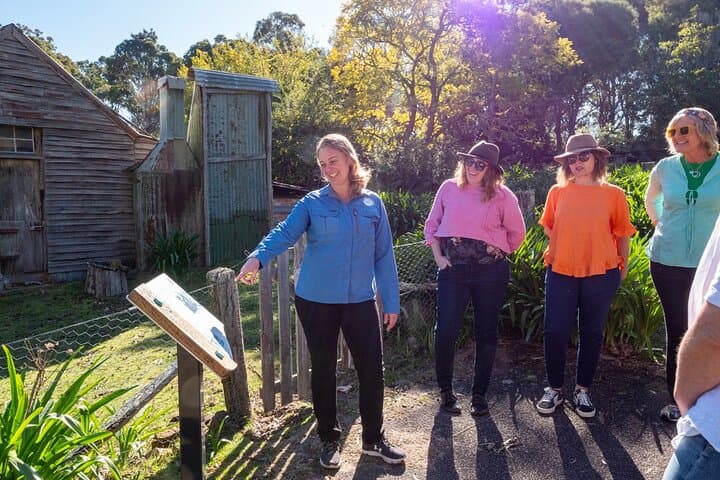 5-Hour Eden Nature Tour — Beaches, Ben Boyd Tower & Pinnacles (Sapphire Coast) photo 4