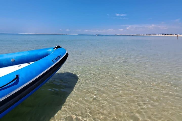 High-Speed Ria Formosa Boat Tour from Faro: Islands, Birds & Barrier Beaches photo 2