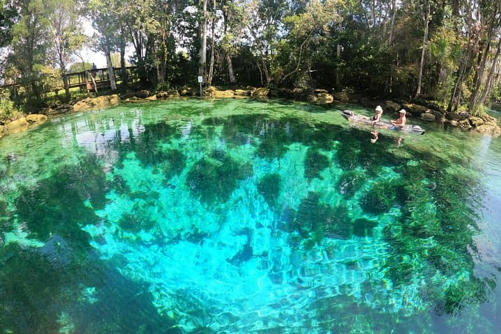 Clear Kayak Sunset and Glow Tour at Three Sisters Springs, Crystal River photo 3