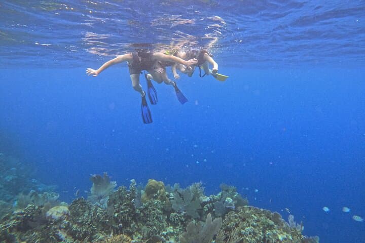 Roatan Reef Snorkel Adventure Small-Group Tours on Roatan Reefs photo 3