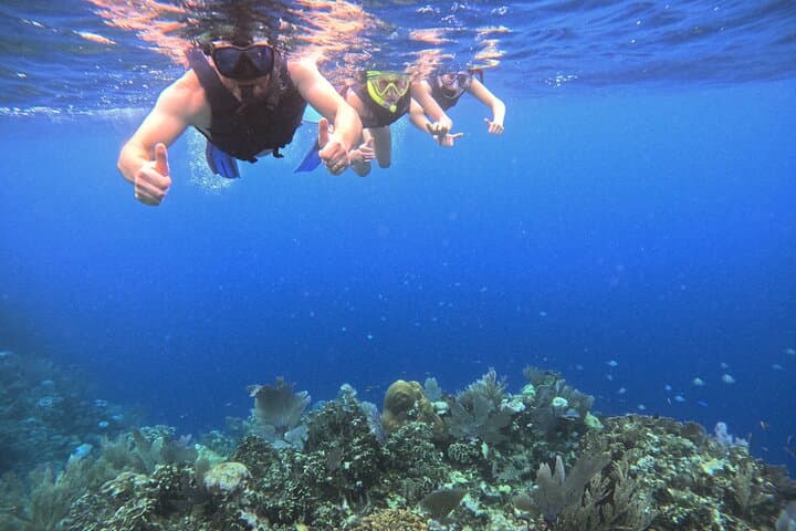 Roatan Reef Snorkel Adventure Small-Group Tours on Roatan Reefs photo 4