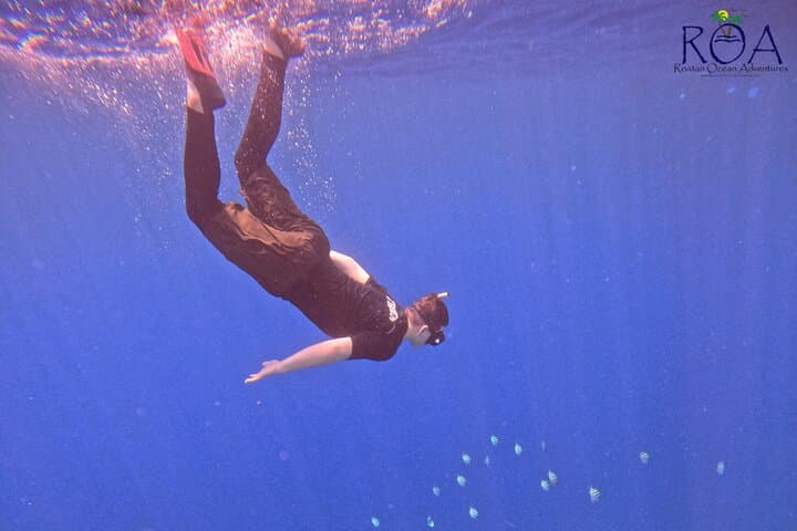 Roatan Reef Snorkel Adventure Small-Group Tours on Roatan Reefs photo 5