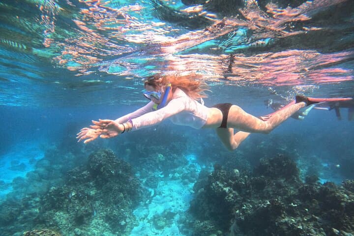 Roatan Reef Snorkel Adventure Small-Group Tours on Roatan Reefs photo 6