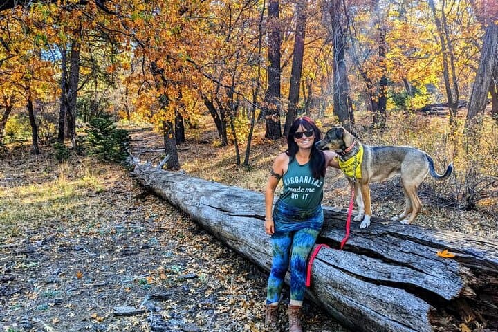 Big Bear Fall Colors Hiking Tour: Best Leaf-Peeping Near Big Bear Lake
