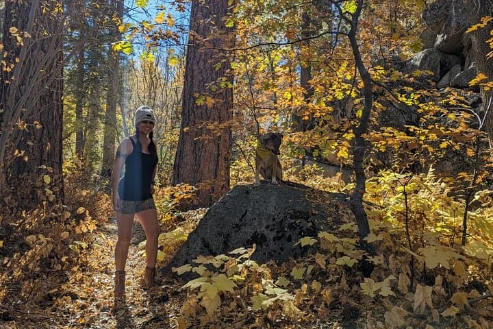 Big Bear Fall Colors Hiking Tour: Best Leaf-Peeping Near Big Bear Lake photo 3