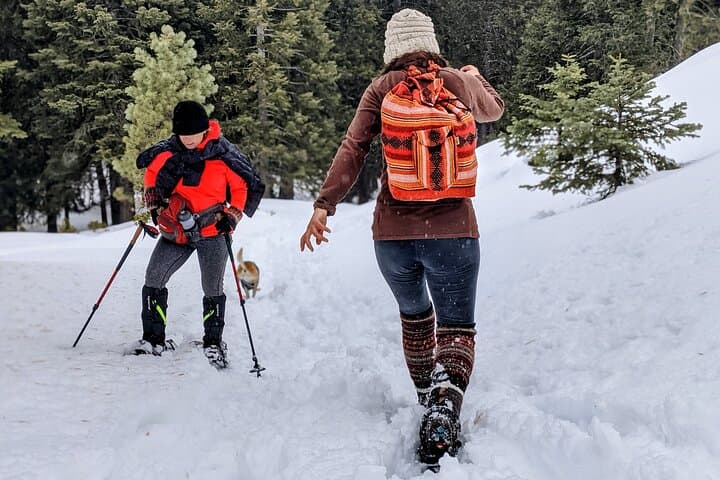 Guided Snowshoe Tour at Big Bear Lake with Hot Chocolate photo 2