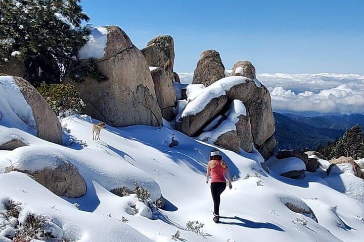 Guided Snowshoe Tour at Big Bear Lake with Hot Chocolate photo 3