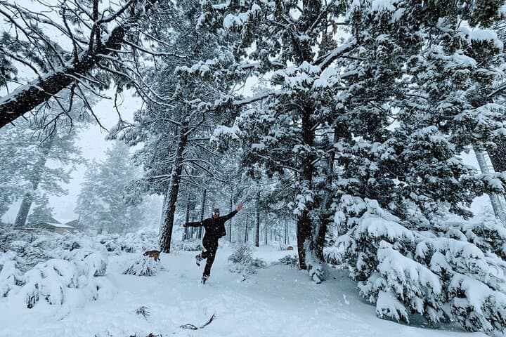 Guided Snowshoe Tour at Big Bear Lake with Hot Chocolate photo 5