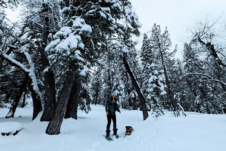 Guided Snowshoe Tour at Big Bear Lake with Hot Chocolate photo 6