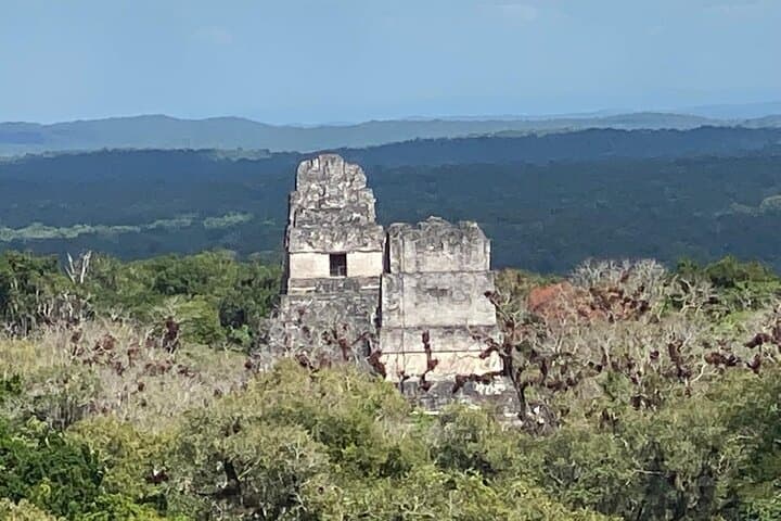 Tikal in a Day: Explore Mayan Temples, Jungle Wildlife & Temple IV Views