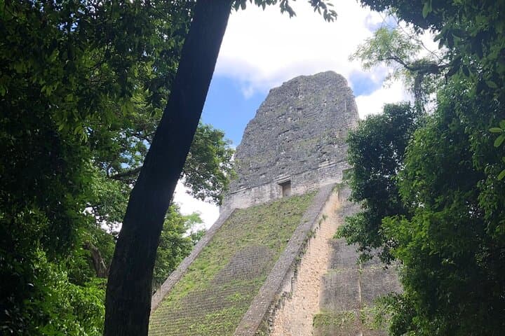 Tikal in a Day: Explore Mayan Temples, Jungle Wildlife & Temple IV Views photo 5
