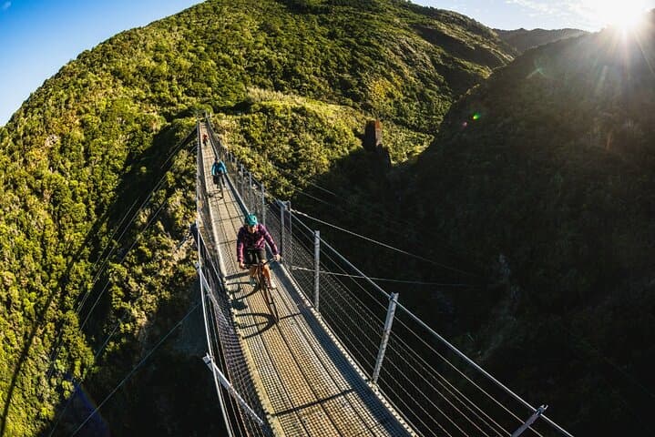 Remutaka Rail Trail eBike Explorer — 28km Summit-to-Cross Creek Ride from Wellington photo 4