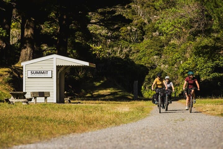 Ride the Remutaka Rail Trail: Wellington eBike Cruise Shore Excursion photo 4