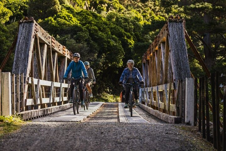 Remutaka Rail Trail eBike Explorer — 28km Summit-to-Cross Creek Ride from Wellington photo 2