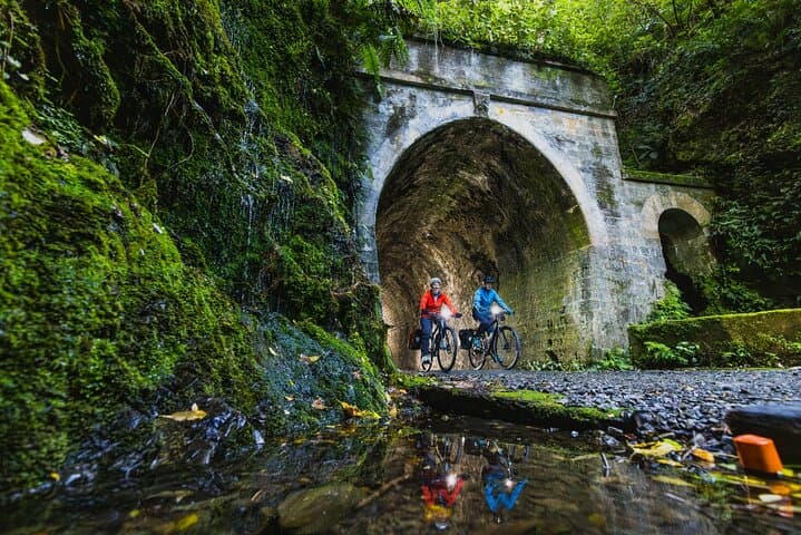 Remutaka Rail Trail eBike Explorer — 28km Summit-to-Cross Creek Ride from Wellington