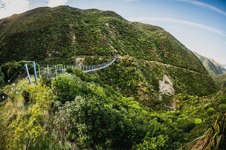 Remutaka Rail Trail eBike Explorer — 28km Summit-to-Cross Creek Ride from Wellington photo 3