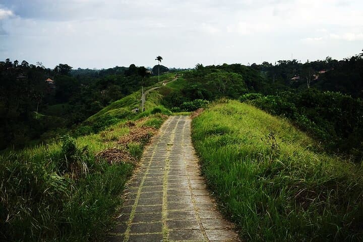 Kintamani Volcano View: Mount Batur, Temples & Waterfalls in a Day photo 4