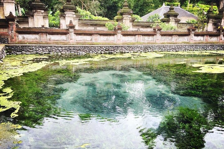 Kintamani Volcano View: Mount Batur, Temples & Waterfalls in a Day photo 6