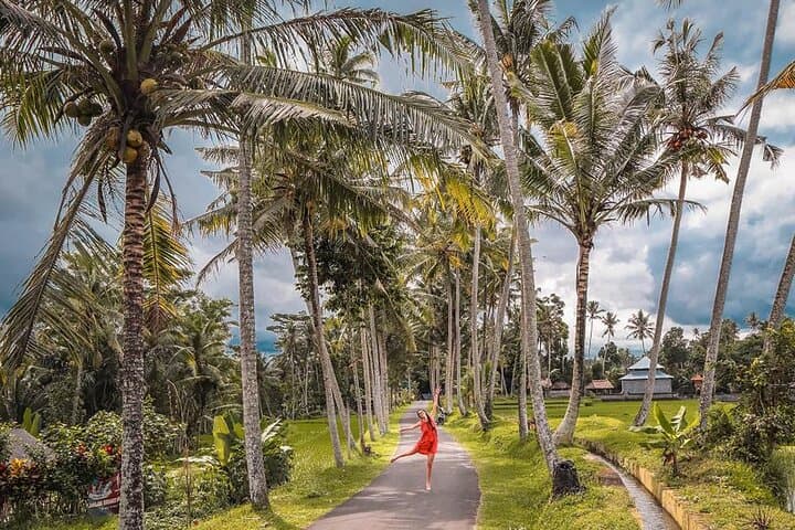 Bali Waterfall and Temple Day Tour from Ubud — Tegalalang, Tirta Empul & Swing photo 6