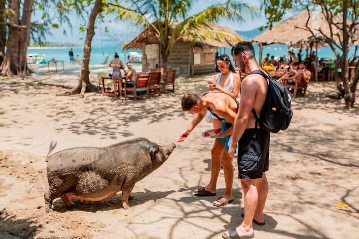 Koh Tan & Pig Island Speed Catamaran: Half-Day Snorkel, Kayak & Beach Pigs photo 2