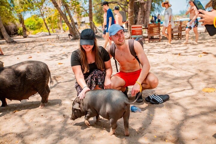 Koh Tan & Pig Island Speed Catamaran: Half-Day Snorkel, Kayak & Beach Pigs photo 1