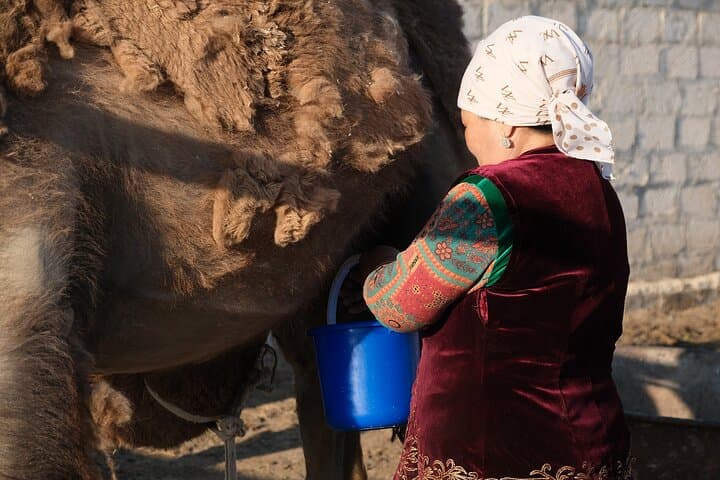 7-Day Mangystau Explorer: Bozjyra Canyons, Yurts & Salt Flats photo 4