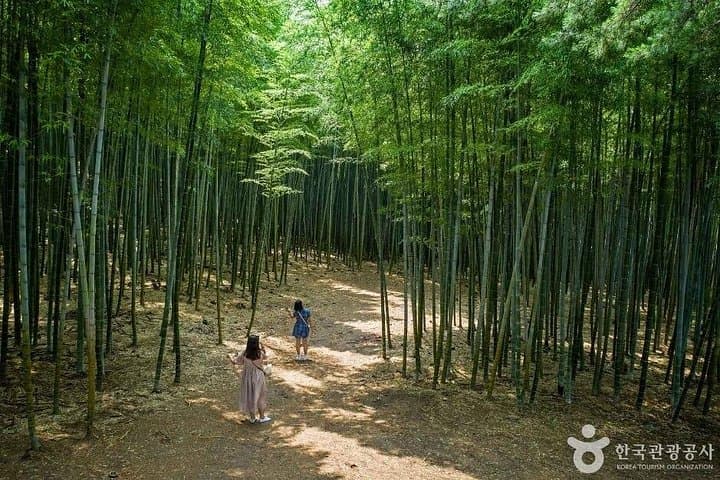 Savor Busan: One-Day Culinary and Cafe Culture Tour — Ahopsan photo 1