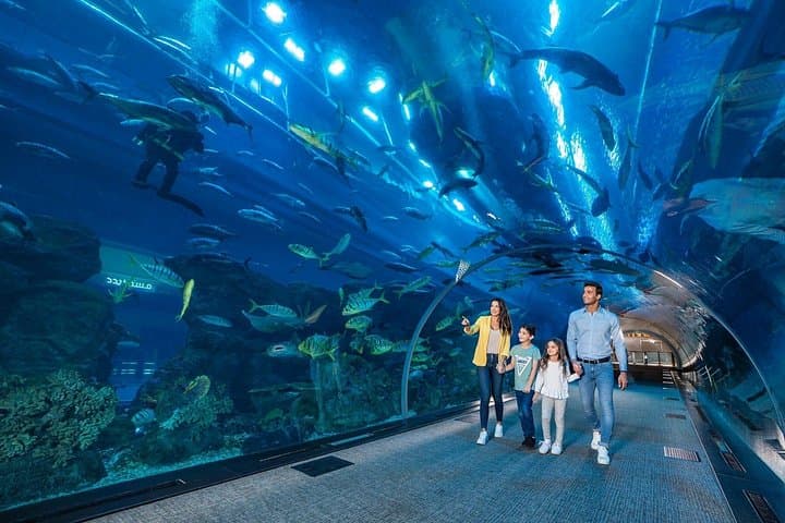 Dubai Aquarium & Underwater Zoo Admission — Dubai Mall Tunnel Experience photo 3